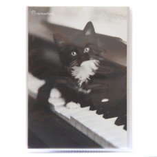 Фотоальбом 36ф 10X15см, ПП карм.,мягкая обложка, r/h: animals black&white, 46817
